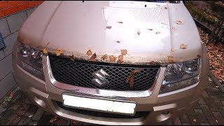 Что произошло с капотом после 10 лет езды с мухобойкой/ Бортжурнал Suzuki Grand Vitara