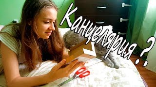 LIFE VLOG: Долгожданная посылка с AliExpress. Моя Канцелярия?!