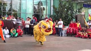 [Nhóm Lân Đội CTXH - UEH] Kĩ thuật và tuyệt chiêu khi múa Lân (cơ bản và nâng cao)
