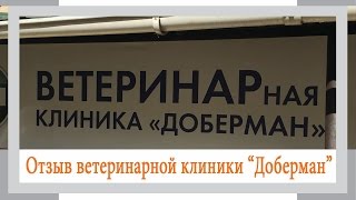 Отзыв об интернет магазине ISON Ветеринарной клиник Доберман г  Челябинск