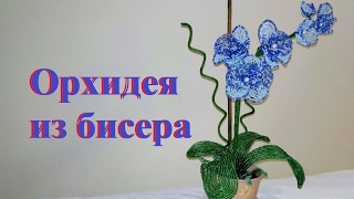ОРХИДЕЯ из бисера | Цветы из бисера / Бисероплетение