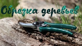 Обрезка плодовых деревьев / Встречаем весну // Жизнь в деревне