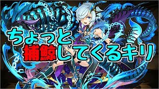 【白鯨降臨】キリ～鯨はベーコンにすると美味しいキリね～【パズドラ実況】