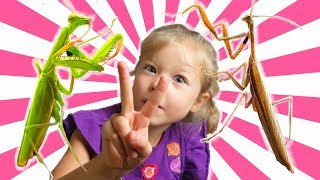 НАСЕКОМАШКИ 2. Богомолы и Августина. Насекомые для детей.