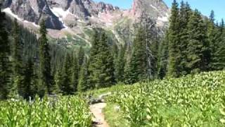 Hiking down from Chicago Basin, alongside Needle Creek, back to the Animas River