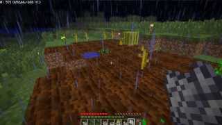 [TUTO] - Comment bien planter du blé dans Minecraft.