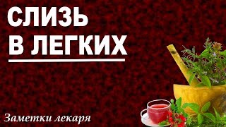 Слизь в легких как лечить народными средствами