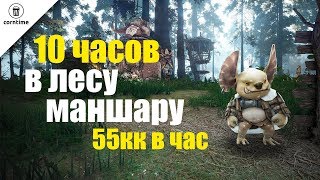 Лес Маншару фарм серебра 10 часов. 55 кк в час в Black Desert