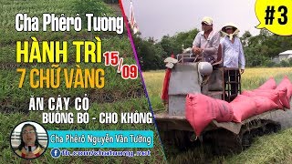 ▶ 03.Cha Tường Hành Trì 7 Chữ Vàng (15.09.2017) ✠ By NHÓM ÁI MỘ Cha Phêrô Nguyễn Văn Tường