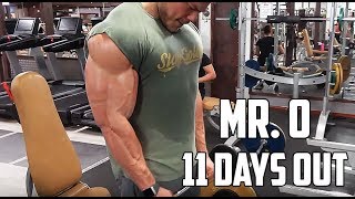 11 DAYS OUT OLYMPIA - SUPERSET Arm Workout - What I Eat in a Day