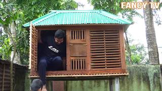 How to Pigeons Breeding loft set up | Jony Pigeon House