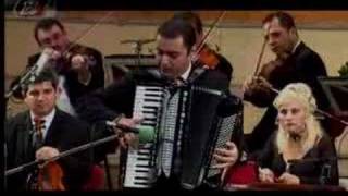 Marian Mexicanu - accordion