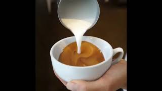 Cappuccino Latte Art - Coffee Art Tutorial - Flat White Barista Compilation - Coffee Artist