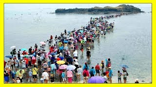 UNBELIEVABLE ! WHAT IS HAPPENING IN THE SEA ! STRANGE END TIMES SIGNS & BIBLE PROPHECY 2018