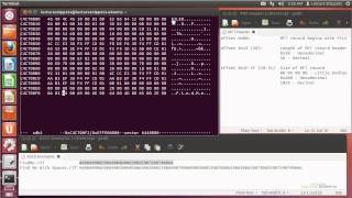 Ubuntu 12.04 Forensics - MFT Searching and Header Information