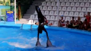 Дельфинарий Немо Алушта Dolphinarium Nemo Alushta HD