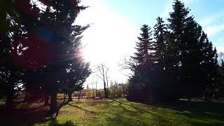 Herbst Spaziergang im Park Schloss Hetzendorf – Save Diversity – Rettet die Vielfalt