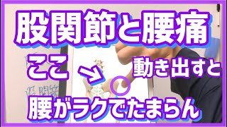 【腰痛と股関節】腰のマッサージ不要！振り返る時の腰の痛みを股関節で治す！　ー八戸　腰痛　股関節ー