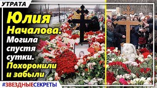 ? Могила Юлии Началовой, спустя сутки, солнце, мартовский снег