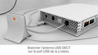 Orange assistance - Livephone : branchement de l'antenne DECT