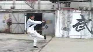 Wudang Kung Fu 伏虎拳 Wudang Fu Hu Quan