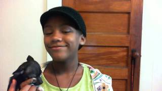 A Thousand Years Cover by Amaya from the movie twlight