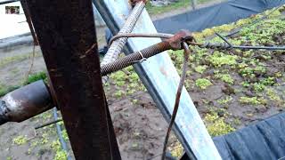 Натяжка проволоки на шпалеру.  Двухплоскостная шпалера для винограда