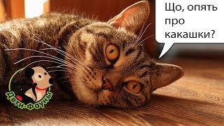 Почему собака ест кал (фекалии), землю, камни, щепки...?