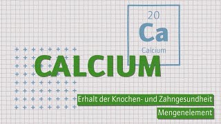 Calcium – Mineralstoff für den Erhalt von Zähnen und Knochen | Wofür genau, wieviel und woher?