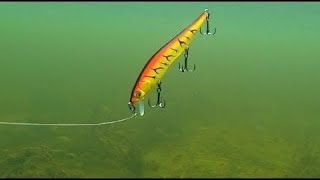 РЫБАЛКА на ЩУКУ воблеры под водой