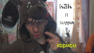 ну типо как я ходил в  зоомагазин в камбинзони волка за кормом кошкам