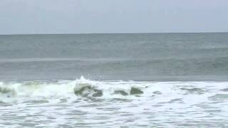The Brain - Surf drum and bass