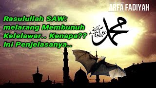 Haram atau Halalkah Kelelawar Menurut Pandangan Islam