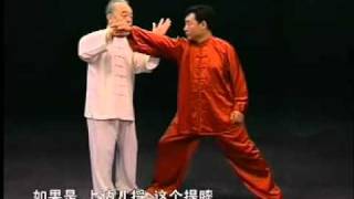 Ma Hong--Applications of Taichi Chen Style(2) 马虹—陈式太极拳拆拳讲劲(二)