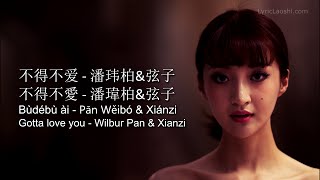 Wilbur Pan - Bu De Bu Ai 不得不爱 - Pinyin Lyrics, Chinese, English. [LyricLaoshi]