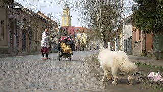 Як живуть і чого хочуть українські угорці Берегового