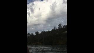 Sacramento River King Salmon Plug Bite Caught on video!!