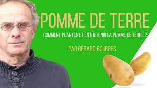 Comment planter et entretenir la pomme terre ?