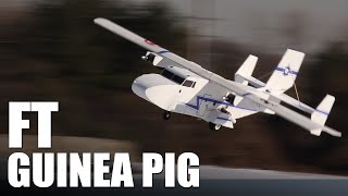 Flite Test | FT Guinea Pig