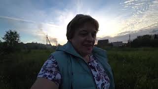 ВЛОГ Лук женился на чесноке ? / Вечерняя прогулка по кустам ??? 25 июня 2019 г.