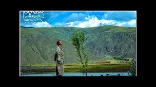 【个人意见】《阿拉姜色》：一条粗粝的朝圣路|界面新闻 · 娱乐