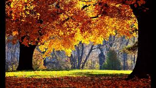 Ernesto Cortazar  -  Remembrance ( Autumn Song )