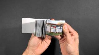 Support: a Flipbook by Alan Becker
