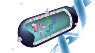 How Silver-ion Antimicrobial Technology Fights Against Bacteria