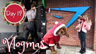 TAKING MY PUPPY TO GYMSHARK HQ & BOOTY BUILDING WORKOUT | Vlogmas Day 19