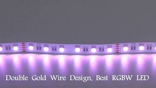 rgbw led strip 5050 rgbw led lights RGBW LED Strip Lights Combine Color Changing and SIngle Color