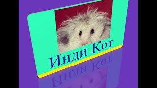 801 уровень   Инди кот