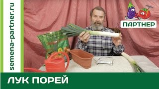 НЕОБЫЧНЫЙ ЛУК! ЧТО ТАКОЕ ПОРЕЙ И С ЧЕМ ЕГО ЕДЯТ? ЛУК-ПОРЕЙ