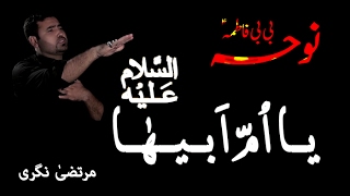 Noha - Ya Umme Abiha S.a - Murtaza Nagri 2017