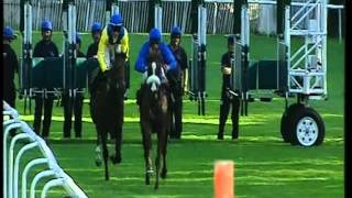 Could this be the first ever dead heat in a two horse race??